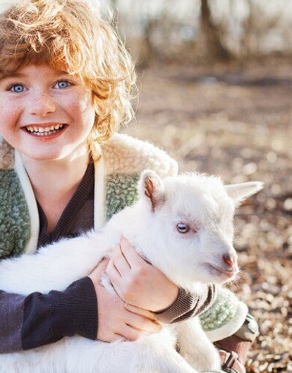 Находка для мам: чем полезно козье молоко для детей и как правильно его пить