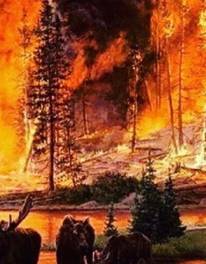 «В прошлом году это было не модно»: Ксения Собчак, Максим Галкин, Семен Слепаков и другие о пожарах в Сибири (видео)