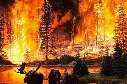 «В прошлом году это было не модно»: Ксения Собчак, Максим Галкин, Семен Слепаков и другие о пожарах в Сибири (видео)