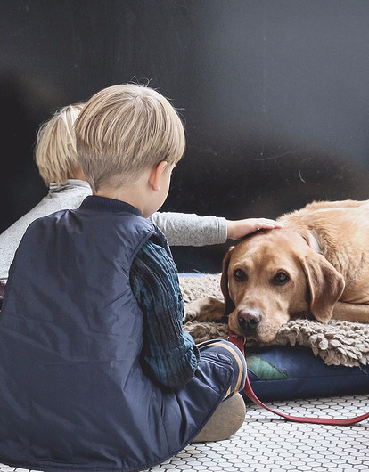 7 доказательств, что ребенку крайне важно иметь рядом четвероногого друга и заботиться о нем
