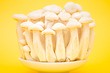 Как заморозить белые грибы на зиму: справится даже ребенок