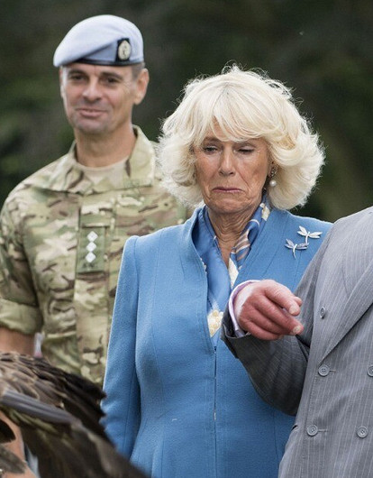 Забавные и нелепые случаи в британской королевской семье