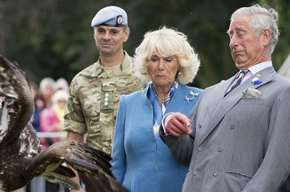 Забавные и нелепые случаи в британской королевской семье