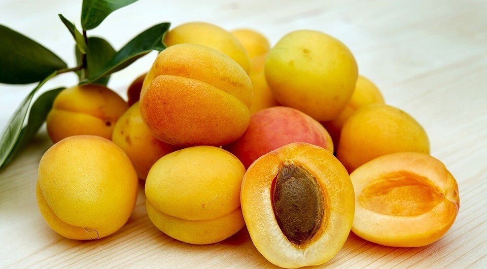 Не выбрасывай: польза и вред косточек абрикоса