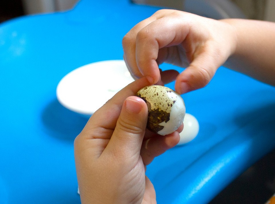 В кастрюле, на пару и в микроволновке: как правильно варить перепелиные яйца