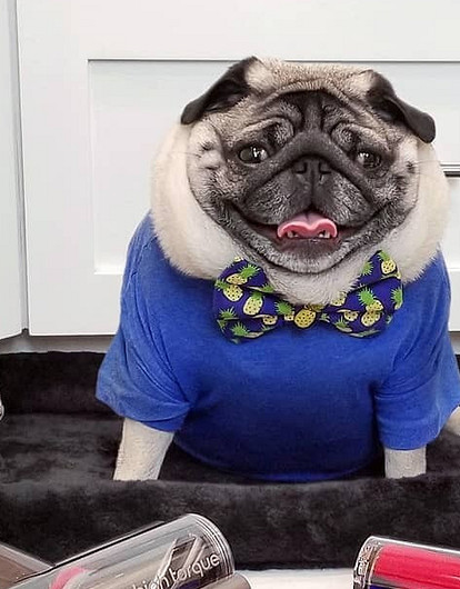 7 модных бытовых приборов, которые есть у каждого блогера в Instagram
