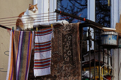 7 лайфхаков по домоводству из СССР, которые уже не работают