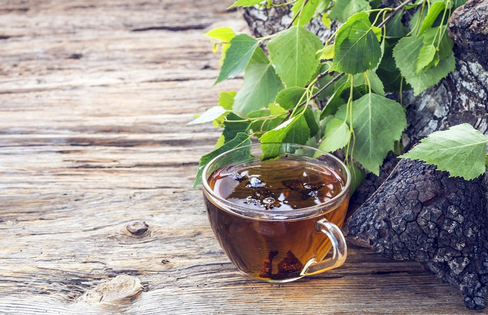 С дерева — в лечебный чай: чага березовая (применение, польза и рецепты)