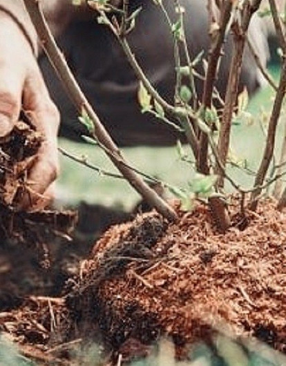 5 вещей, которые нужно успеть сделать на даче до наступления зимы