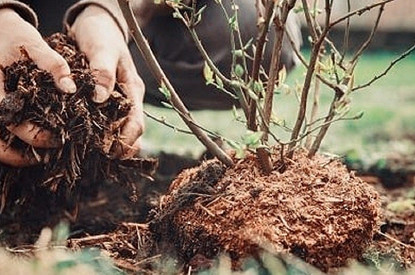 5 вещей, которые нужно успеть сделать на даче до наступления зимы