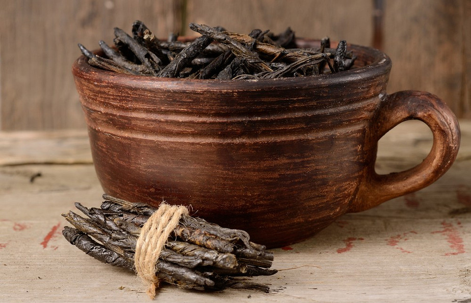 Полезные свойства чая кудин: от снижения температуры до похудения