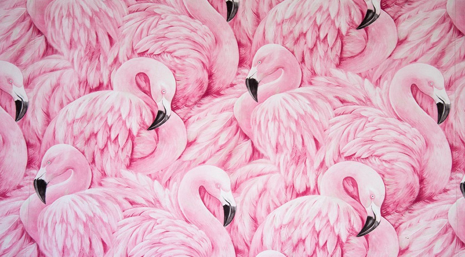 Маникюр с фламинго: какой дизайн выбрать, чем делать, как продлить стойкость