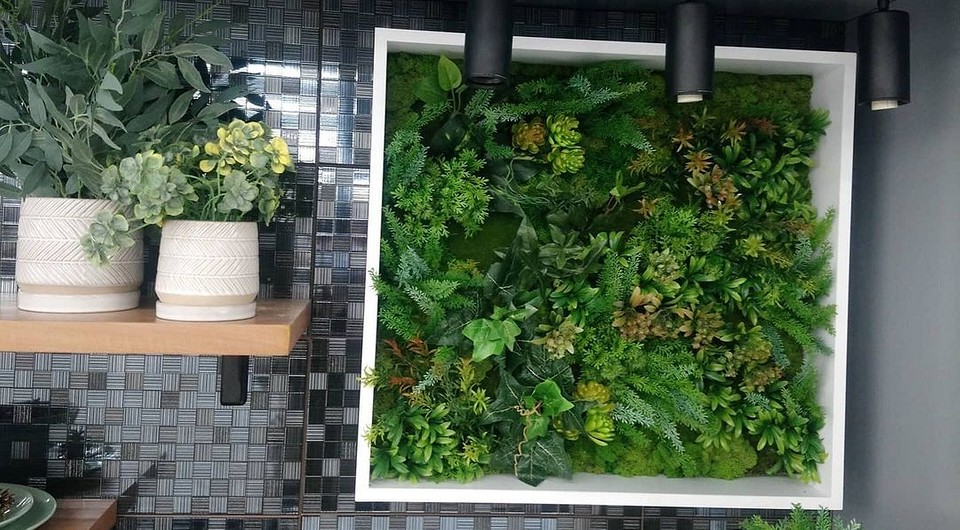 Вертикальное озеленение в интерьере своими руками- растения +Фото и Видео