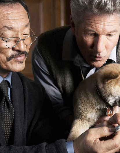 «Совсем как человек»: 6 историй людей, которые любят и ненавидят своих собак (видео)