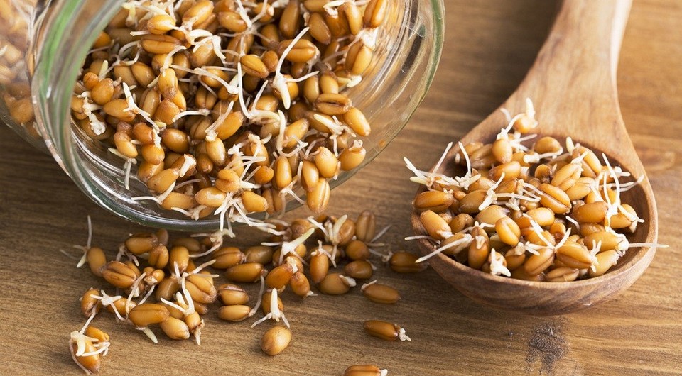 Сила в зернах: для чего и как употреблять пророщенную пшеницу