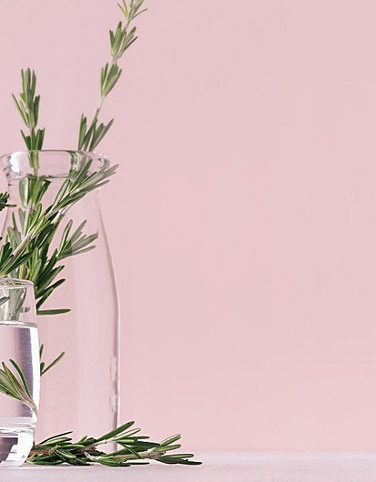 Детокс и быстрый обмен веществ: полезные свойства и противопоказания розмарина