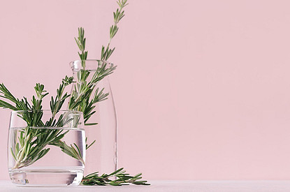 Детокс и быстрый обмен веществ: полезные свойства и противопоказания розмарина