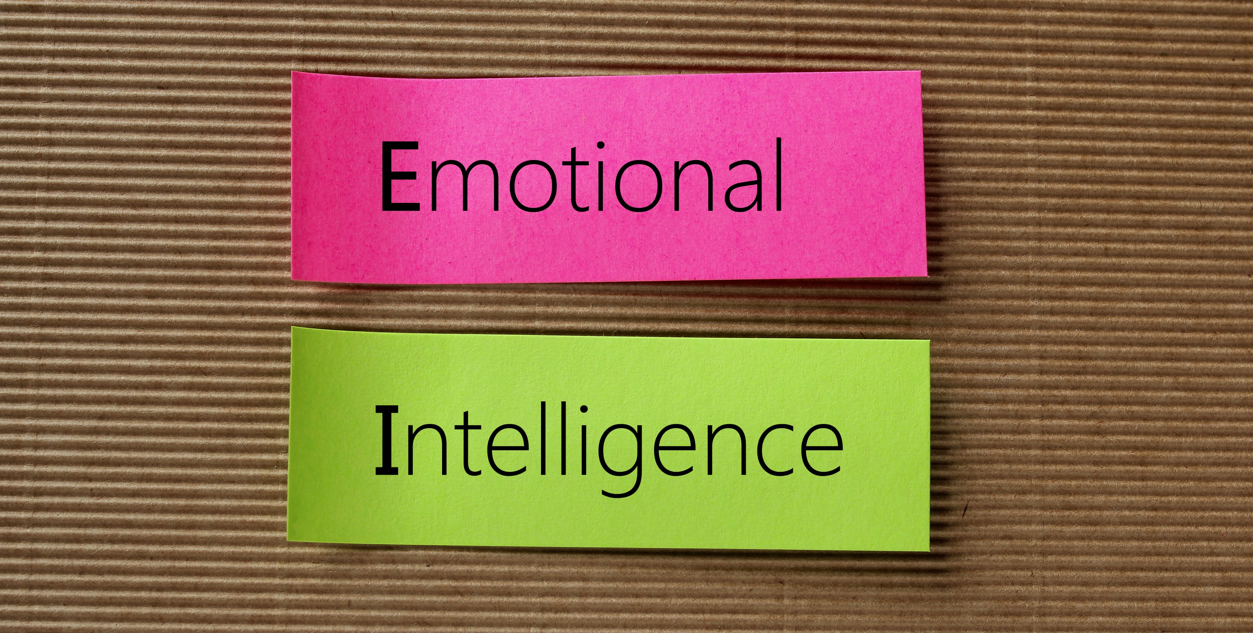 Эмоциональный интеллект: что это и 5 способов, как его развить