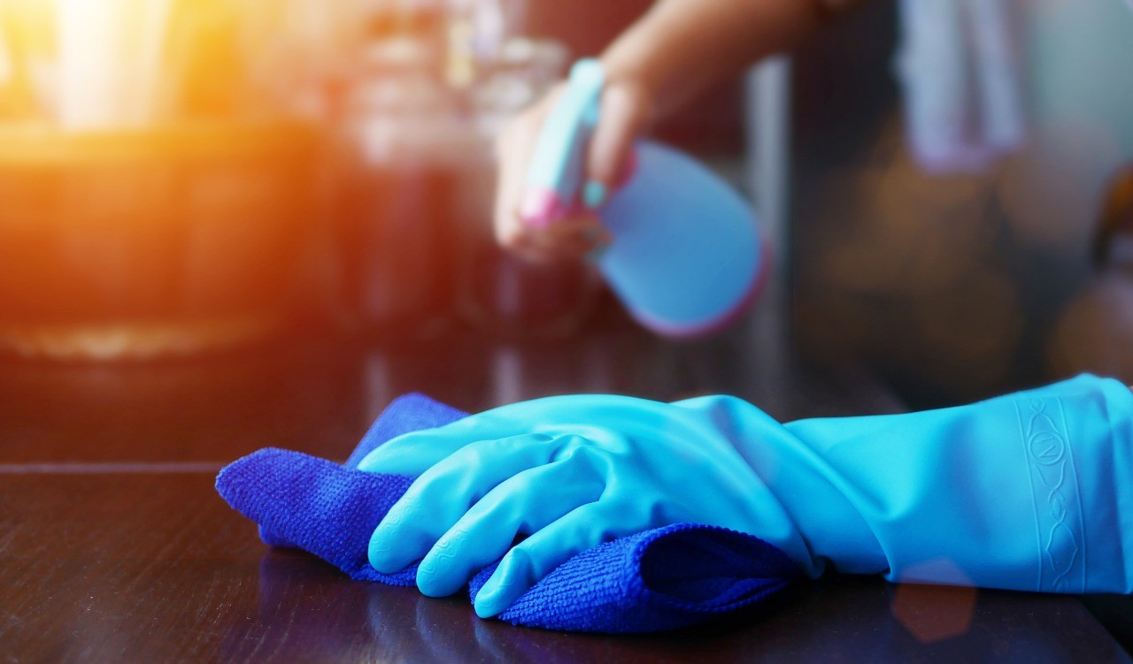 Как избавиться от мелких мошек на кухне: 6 действенных способов