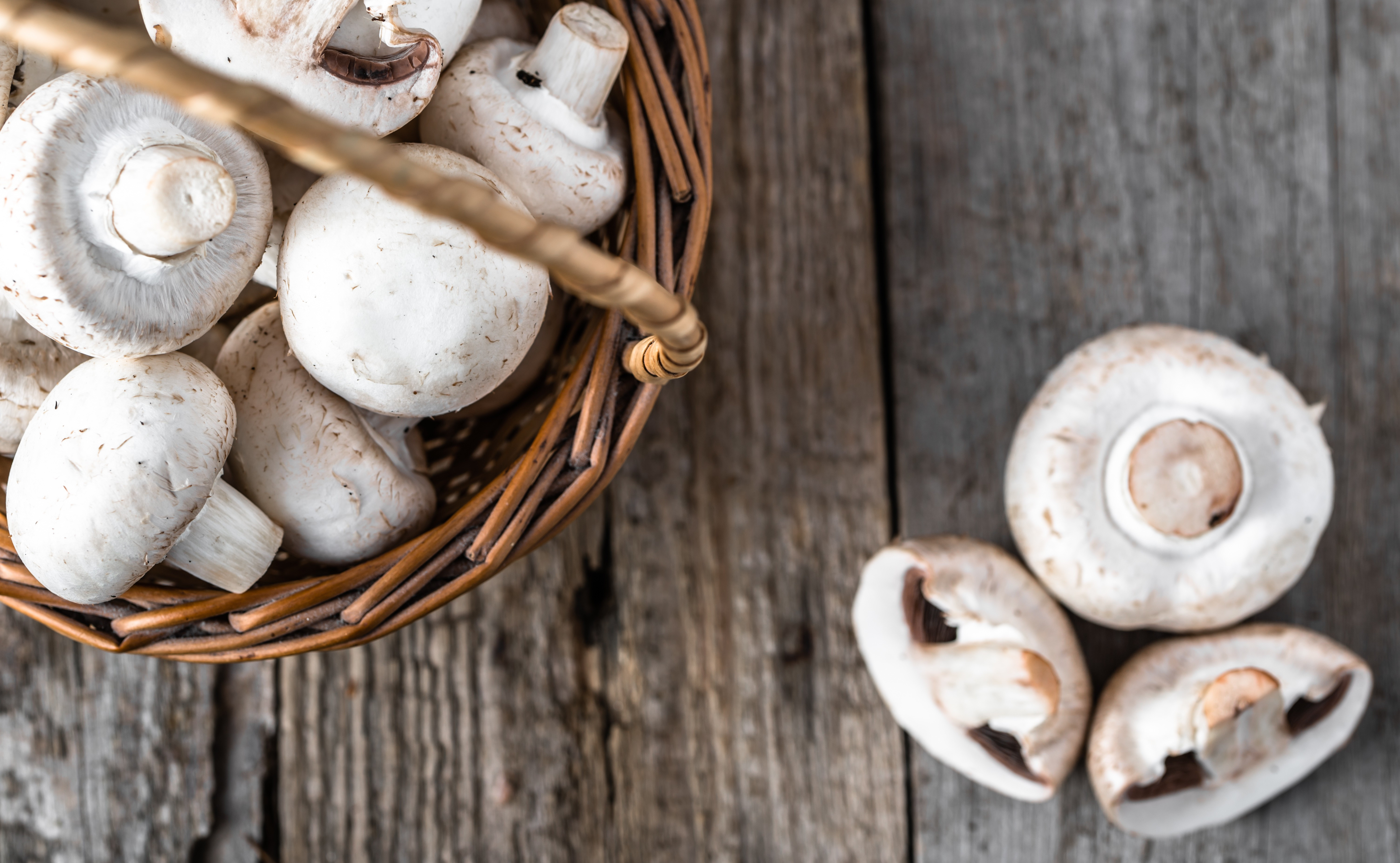 Домашняя грибница - Белые грибы. Набор для выращивания грибов дома.