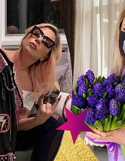 В чем наши и зарубежные звезды проводят карантин