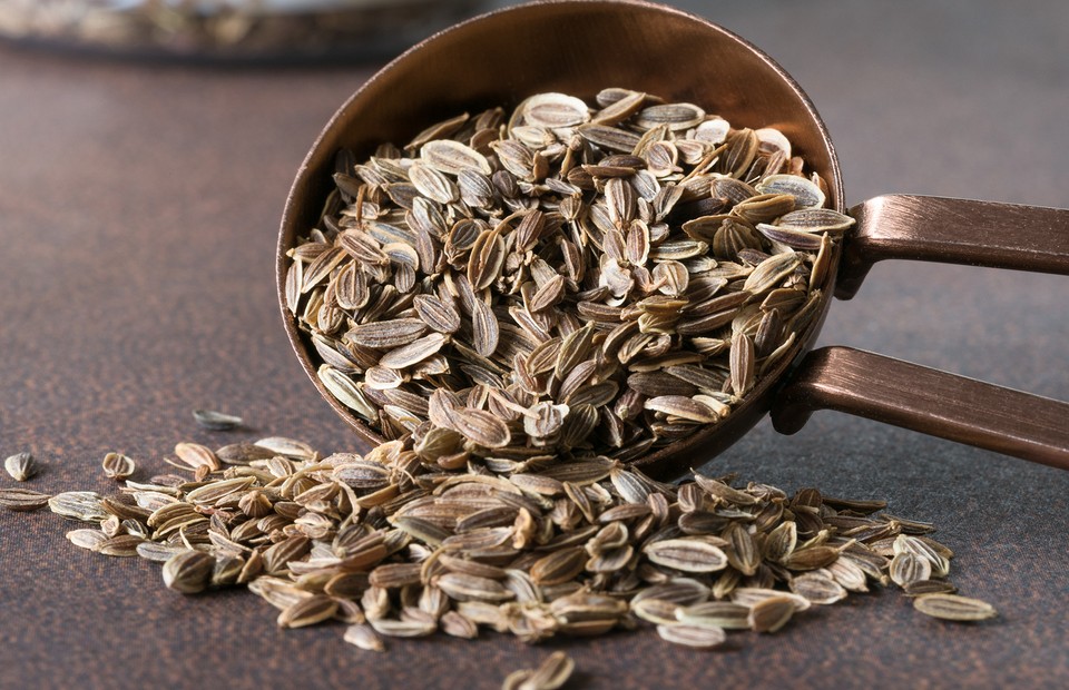 Лечебные свойства и применение семян укропа: 4 полезных народных рецепта