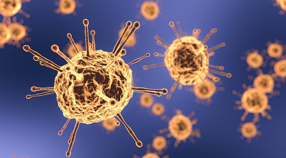 5 вещей, которых боится коронавирус
