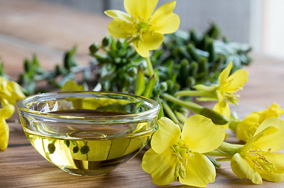 Масло вечерней примулы: полезные свойства и инструкция по применению от врача