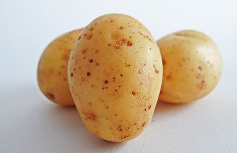 Употребление недоваренного картофеля чревато вздутием кишечника. Он содержит крахмал, который плохо переваривается. Если же картофель долго хранился и его кожура покрылась зелеными пятнам...