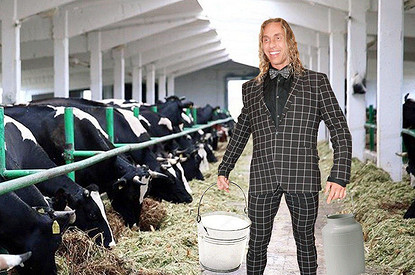 «Попробовать силы с настоящими элитными телками»: подмосковный фермер пригласил Сергея Глушко на работу (Королеву тоже)