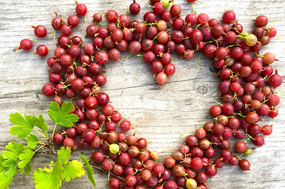 Польза и вред крыжовника для организма: 10 самых важных для здоровья свойств