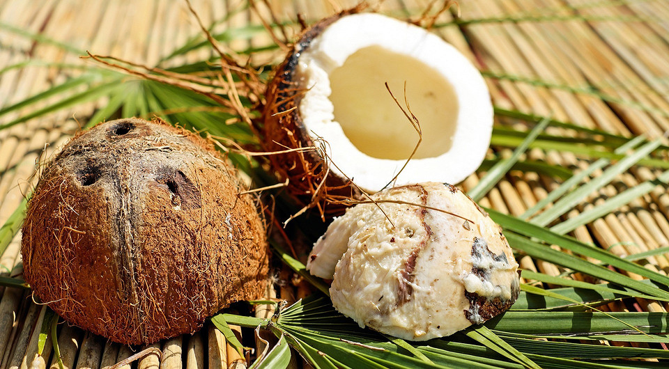 Такой разный кокос: польза и вред для организма (22 свойства ореха)
