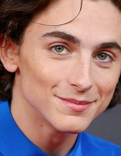 Тимоти Шаломе закрутил роман с бывшей девушкой Криштиану Роналду (нет, это не Шейк)