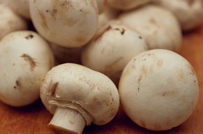 Нужно ли чистить шампиньоны и еще 5 важных вопросов об этих грибах