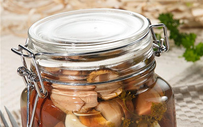 Белые грибы