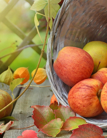 6 продуктов, которые обязательно принесут пользу осенью (и как их лучше сохранить)