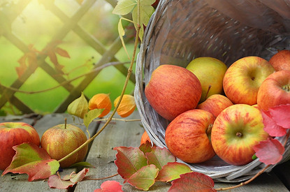 6 продуктов, которые обязательно принесут пользу осенью (и как их лучше сохранить)