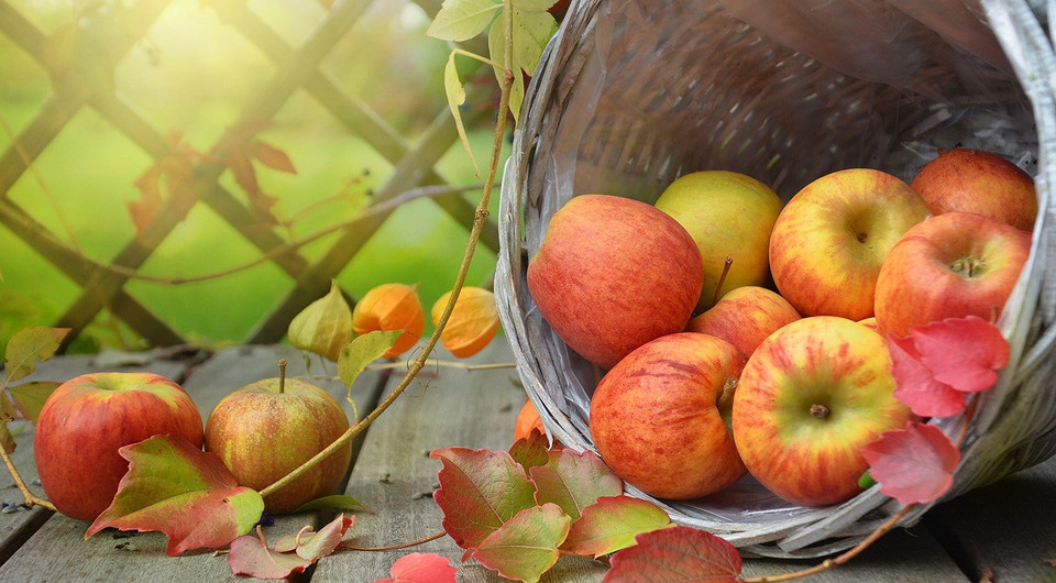6 продуктов, которые обязательно принесут пользу осенью (и как их лучше сохранить)