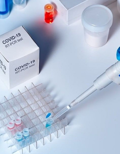 В России создали тест для выявления коронавируса у животных