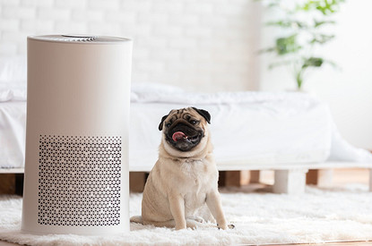 Для чего нужен ионизатор воздуха для квартиры и так ли он полезен