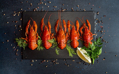 Как варить раков в домашних условиях: 3 совета и 4 проверенных рецепта