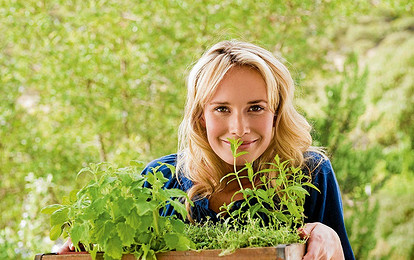 5 хитростей, как хранить зелень, чтобы она не завяла