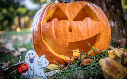 Страшно вкусно: 5 блюд с тыквой, которые можно приготовить на Хэллоуин