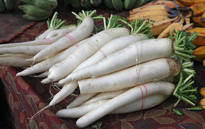 Что такое редька дайкон: самые вкусные салаты
