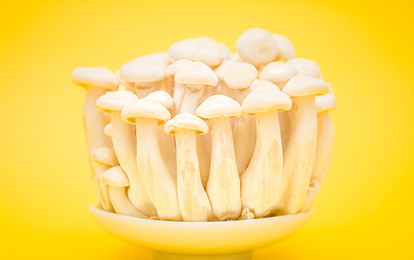 Как заморозить белые грибы на зиму: справится даже ребенок