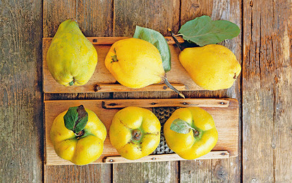 Что приготовить из айвы? Топ-3 легких рецепта