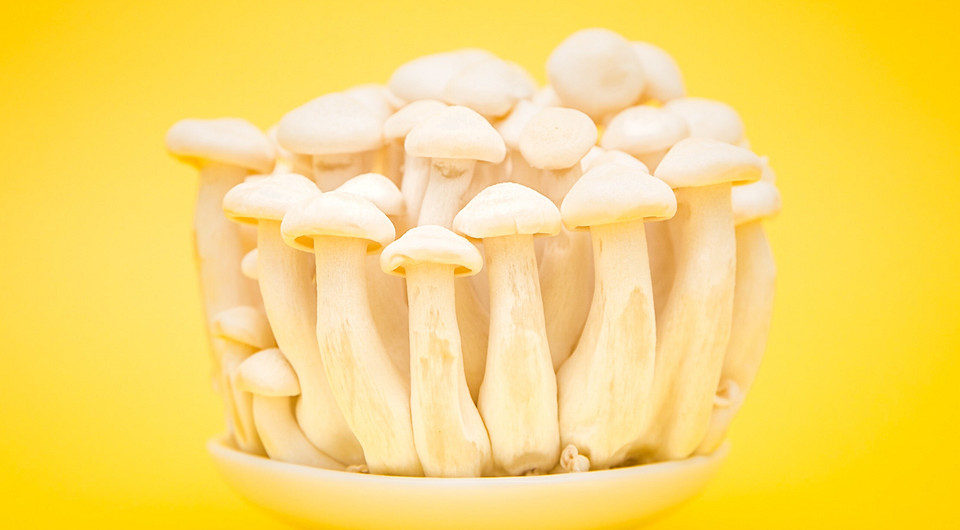 Как заморозить белые грибы на зиму: справится даже ребенок
