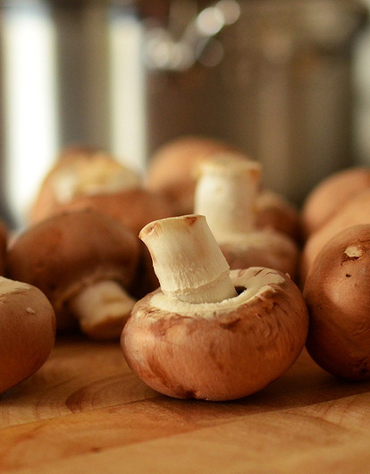 Из лета в зиму: можно ли заморозить свежие, отварные и жареные грибы