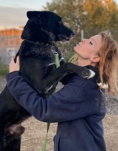 «Мы — не контактный зоопарк. У нас нельзя оставлять детей»: откровенные истории волонтеров приютов для животных