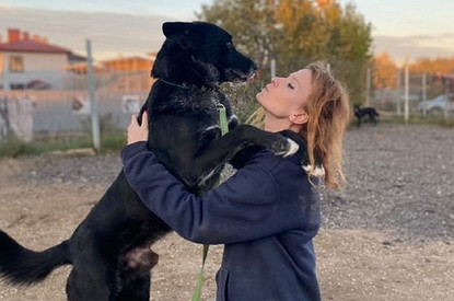 «Мы — не контактный зоопарк. У нас нельзя оставлять детей»: откровенные истории волонтеров приютов для животных